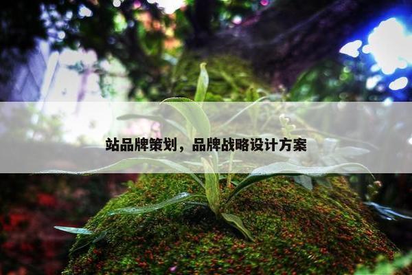 站品牌策划，品牌战略设计方案