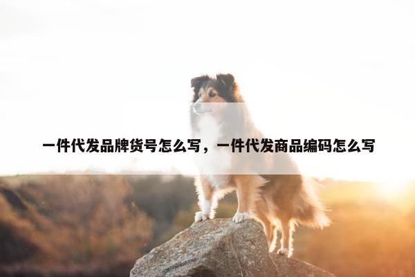 一件代发品牌货号怎么写，一件代发商品编码怎么写