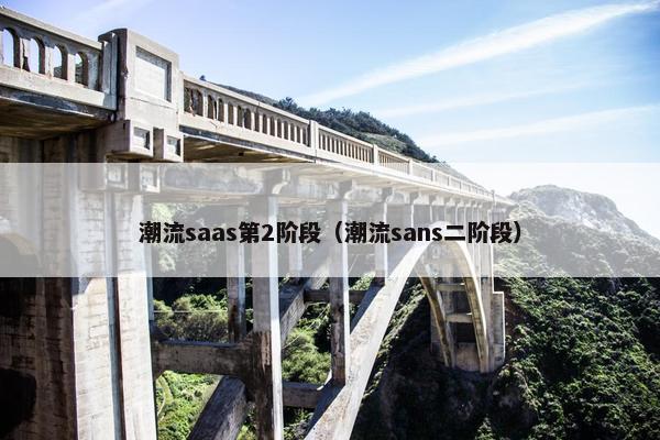 潮流saas第2阶段（潮流sans二阶段）