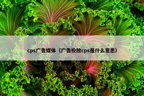 cps广告媒体（广告投放cps是什么意思）