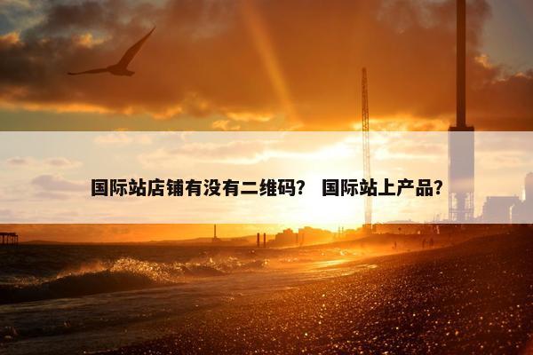 国际站店铺有没有二维码？ 国际站上产品？