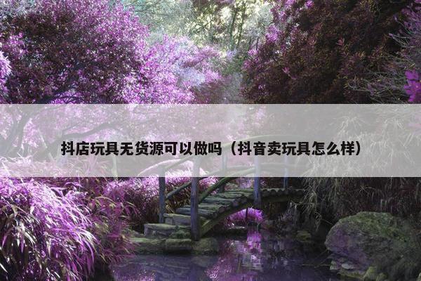 抖店玩具无货源可以做吗（抖音卖玩具怎么样）
