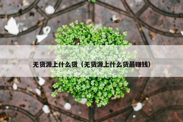 无货源上什么货（无货源上什么货最赚钱）