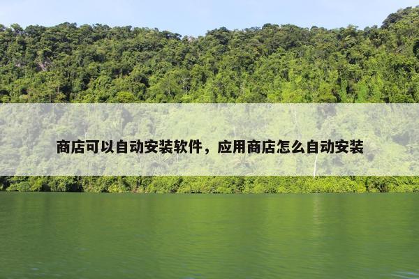 商店可以自动安装软件，应用商店怎么自动安装