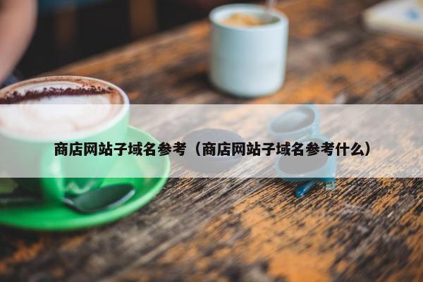 商店网站子域名参考（商店网站子域名参考什么）