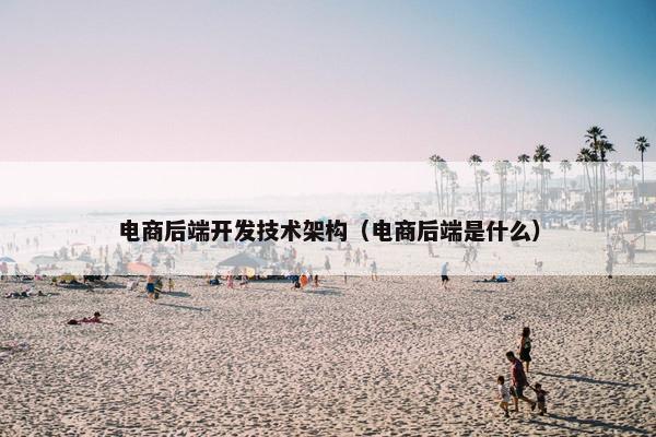 电商后端开发技术架构（电商后端是什么）