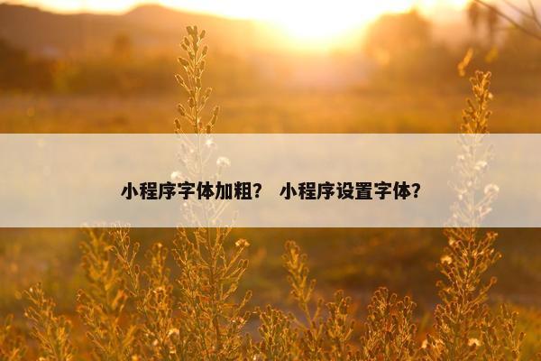 小程序字体加粗？ 小程序设置字体？