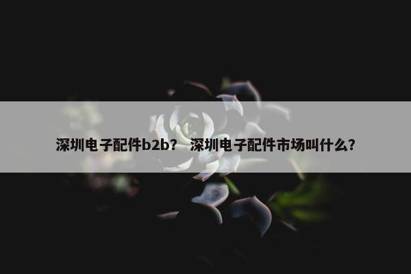 深圳电子配件b2b？ 深圳电子配件市场叫什么？