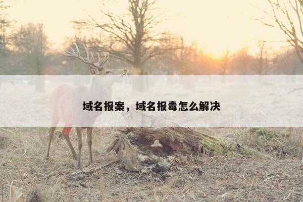 域名报案，域名报毒怎么解决