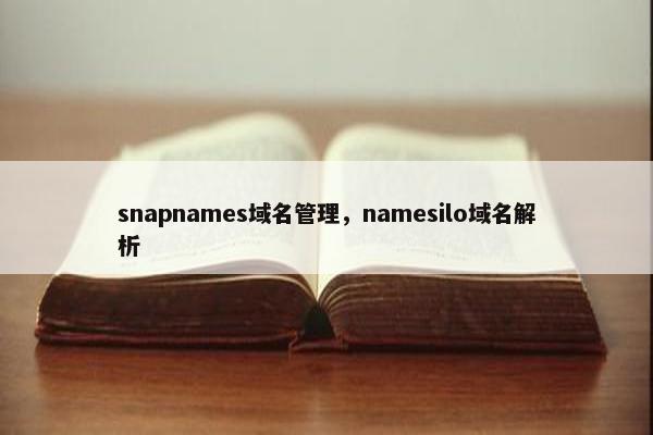 snapnames域名管理，namesilo域名解析