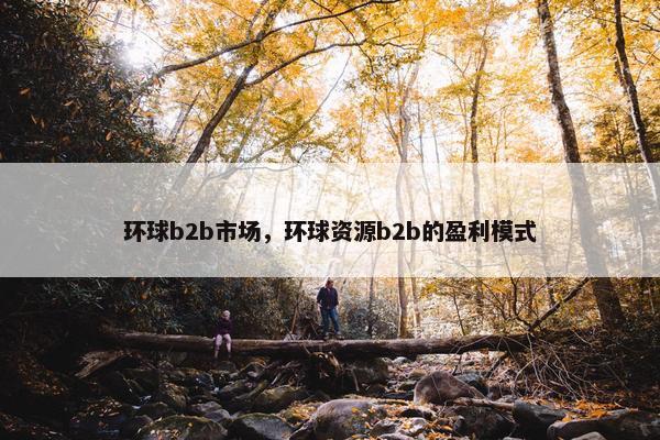 环球b2b市场，环球资源b2b的盈利模式