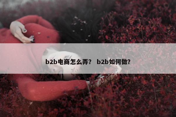 b2b电商怎么弄？ b2b如何做？