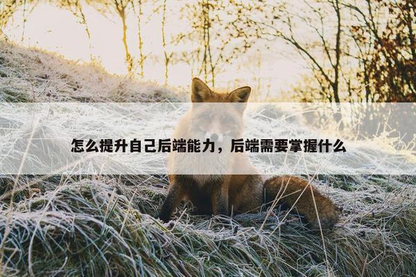 怎么提升自己后端能力，后端需要掌握什么