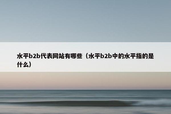水平b2b代表网站有哪些（水平b2b中的水平指的是什么）