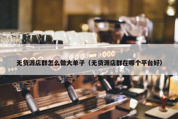 无货源店群怎么做大单子（无货源店群在哪个平台好）