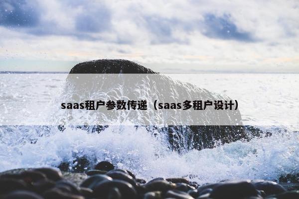 saas租户参数传递（saas多租户设计）