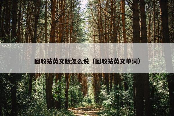 回收站英文版怎么说（回收站英文单词）