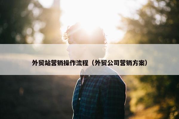 外贸站营销操作流程（外贸公司营销方案）