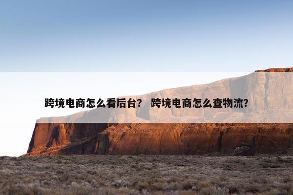 跨境电商怎么看后台？ 跨境电商怎么查物流？