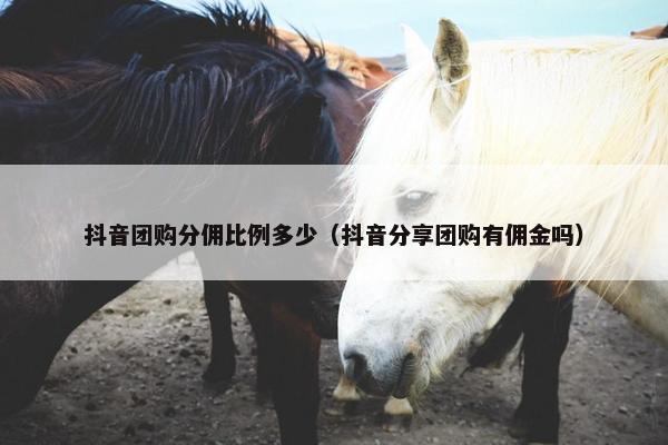 抖音团购分佣比例多少（抖音分享团购有佣金吗）