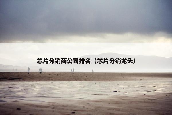 芯片分销商公司排名（芯片分销龙头）