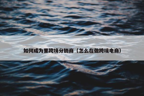 如何成为里跨境分销商（怎么在做跨境电商）