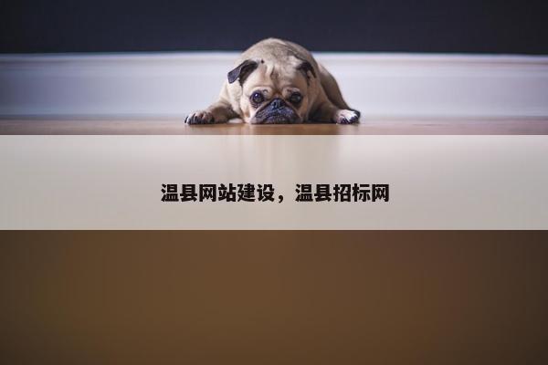 温县网站建设，温县招标网