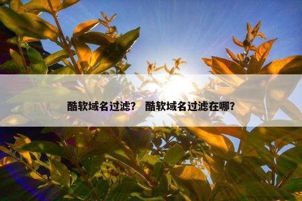 酷软域名过滤？ 酷软域名过滤在哪？