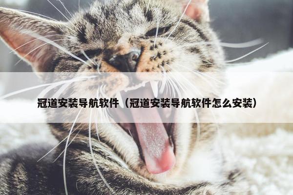 冠道安装导航软件（冠道安装导航软件怎么安装）