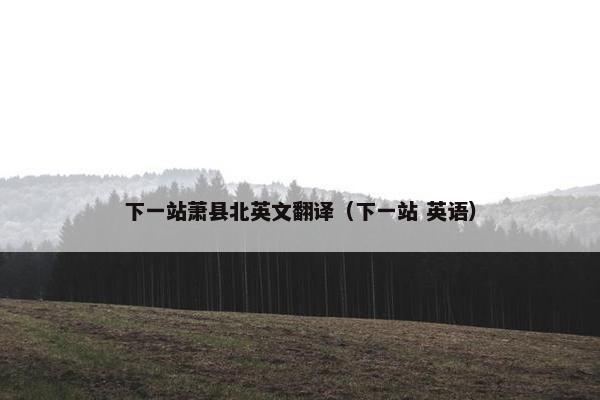 下一站萧县北英文翻译（下一站 英语）