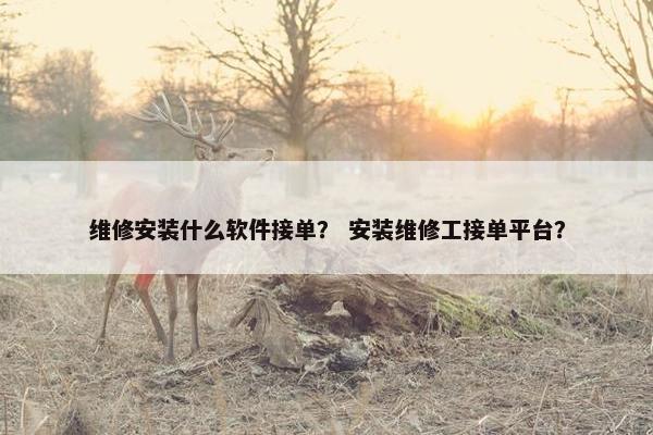 维修安装什么软件接单？ 安装维修工接单平台？