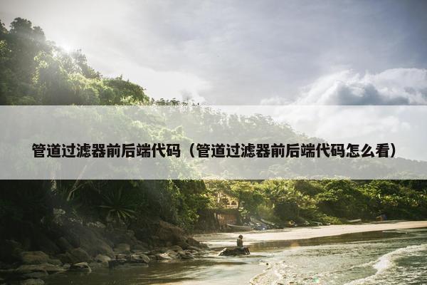 管道过滤器前后端代码（管道过滤器前后端代码怎么看）