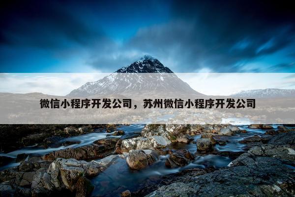 微信小程序开发公司，苏州微信小程序开发公司