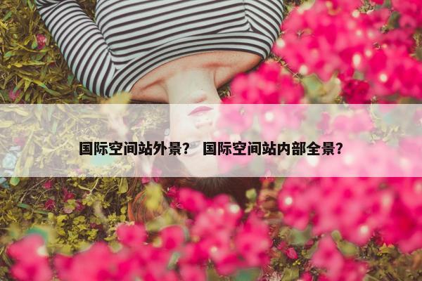 国际空间站外景？ 国际空间站内部全景？