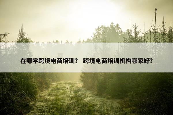 在哪学跨境电商培训？ 跨境电商培训机构哪家好？