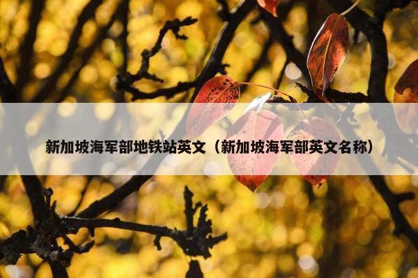 新加坡海军部地铁站英文（新加坡海军部英文名称）
