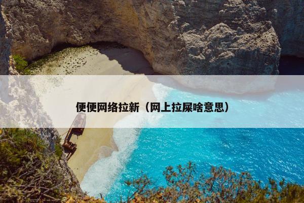 便便网络拉新（网上拉屎啥意思）
