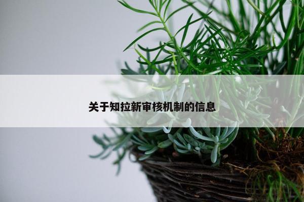关于知拉新审核机制的信息