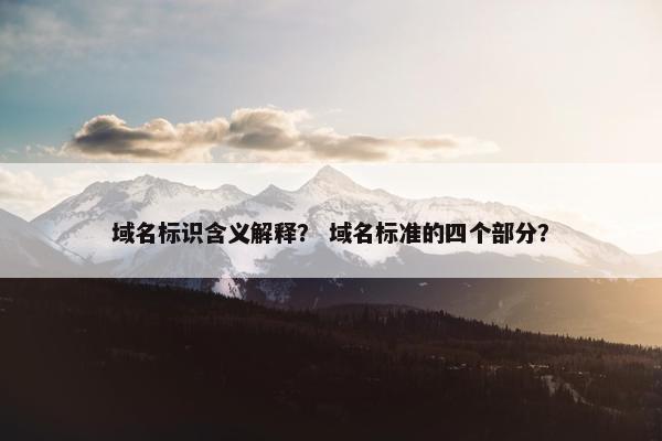 域名标识含义解释？ 域名标准的四个部分？