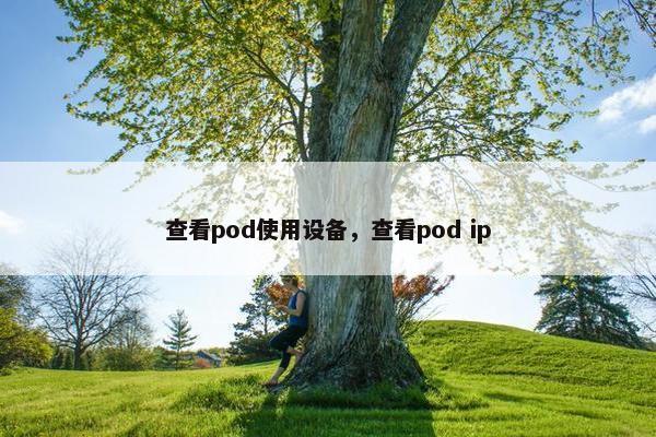 查看pod使用设备，查看pod ip