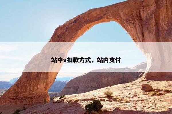 站中v扣款方式，站内支付