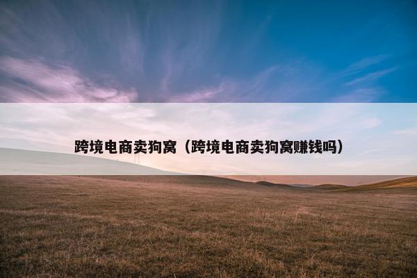 跨境电商卖狗窝（跨境电商卖狗窝赚钱吗）