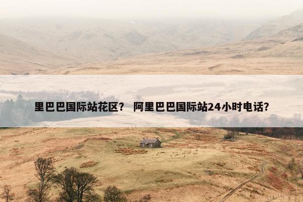 里巴巴国际站花区？ 阿里巴巴国际站24小时电话？