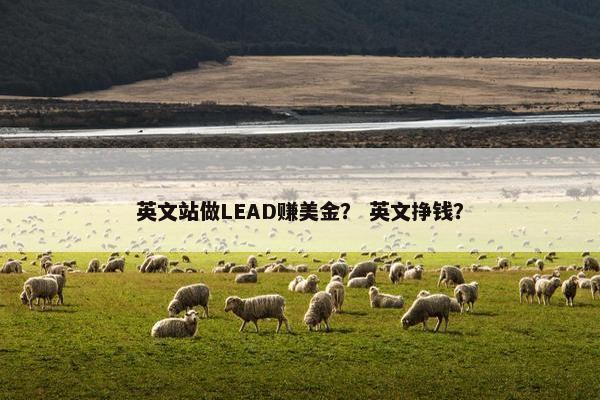 英文站做LEAD赚美金？ 英文挣钱？
