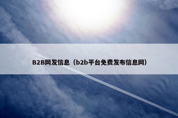B2B网发信息（b2b平台免费发布信息网）