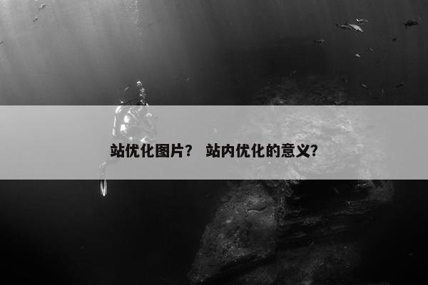 站优化图片？ 站内优化的意义？