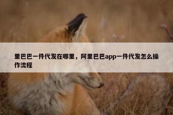 里巴巴一件代发在哪里，阿里巴巴app一件代发怎么操作流程