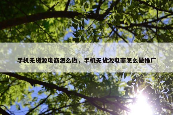 手机无货源电商怎么做，手机无货源电商怎么做推广