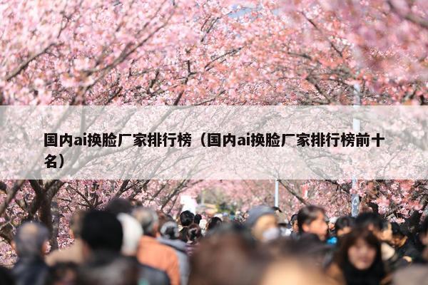 国内ai换脸厂家排行榜（国内ai换脸厂家排行榜前十名）