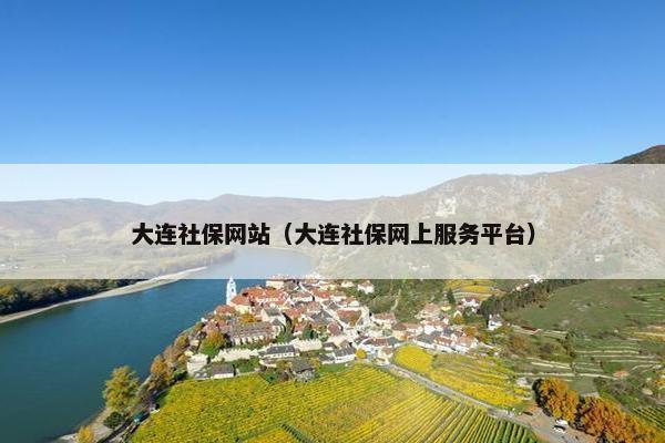 大连社保网站（大连社保网上服务平台）
